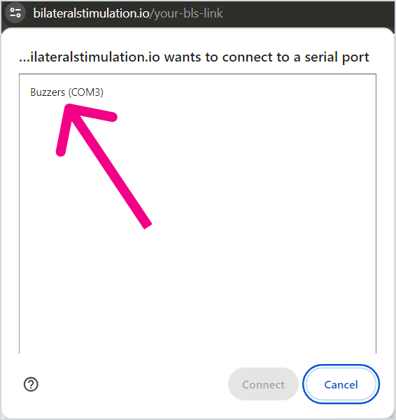 Screenshot of the browser dialog when pairing your buzzers. It starts off greyed-out and will become active once you click on 'Buzzers'.